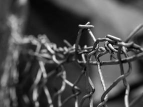 匀速体育直播，技术革新如何重塑体育传播的时空边界