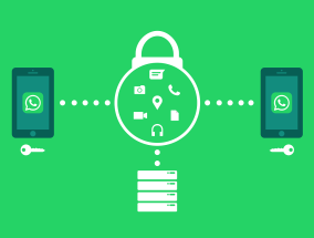 官方推荐，摇钱树APP下载入口全攻略 安全使用指南