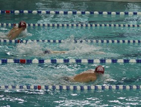 泳池里的黄金时刻，体育赛事直播如何重塑游泳运动的全球狂欢