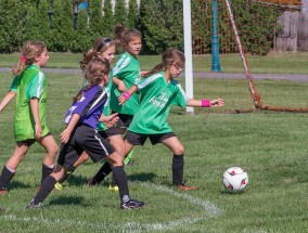 辽宁体育直播课代表，体育教育的新模式与区域发展的双赢