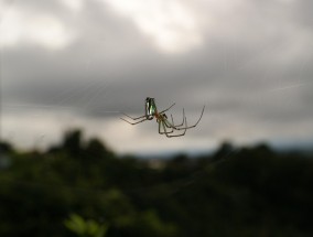 异常飞行物惊现街头，一段改变认知的影像记录