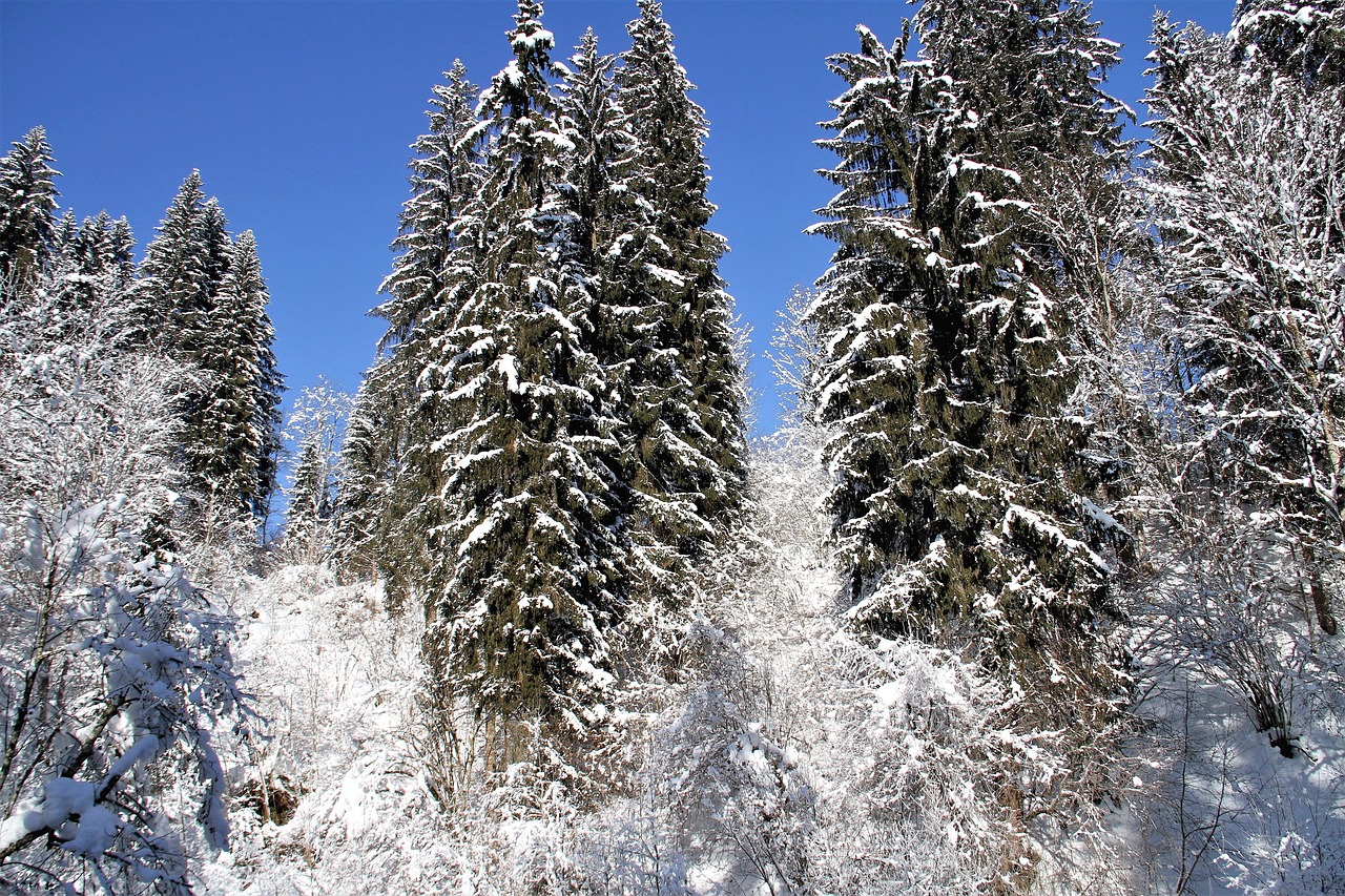 大范围降雪降温来袭，应对与准备指南