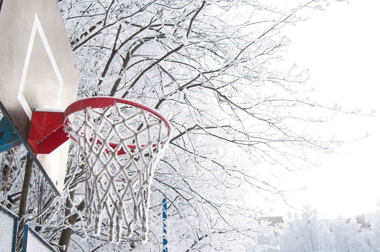 东北破纪录特大暴雪，挑战与应对策略