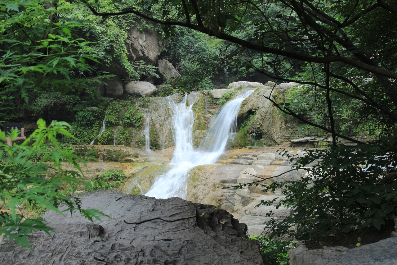 撞脸听泉鉴宝的文物，镇馆之宝旁的独特风景