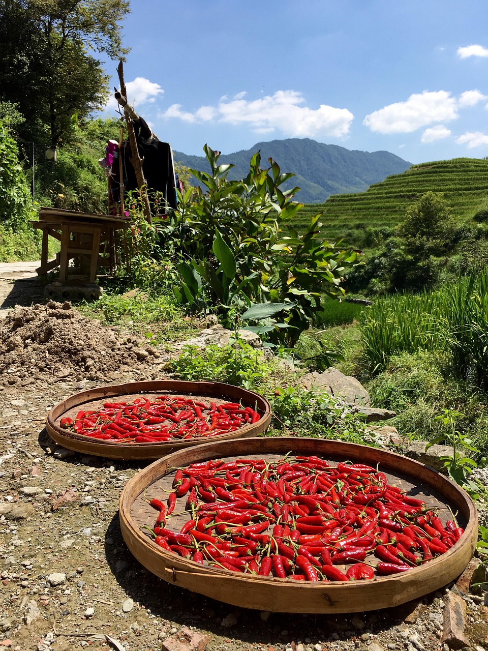 桂林旅游攻略，避开陷阱，畅游山水之间