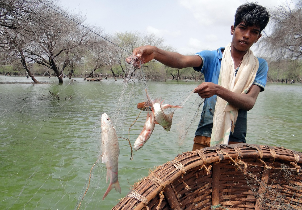 钓鱼的别称及其文化意义—An Exploration of Synonyms for Fishing and Their Cultural Significance in English