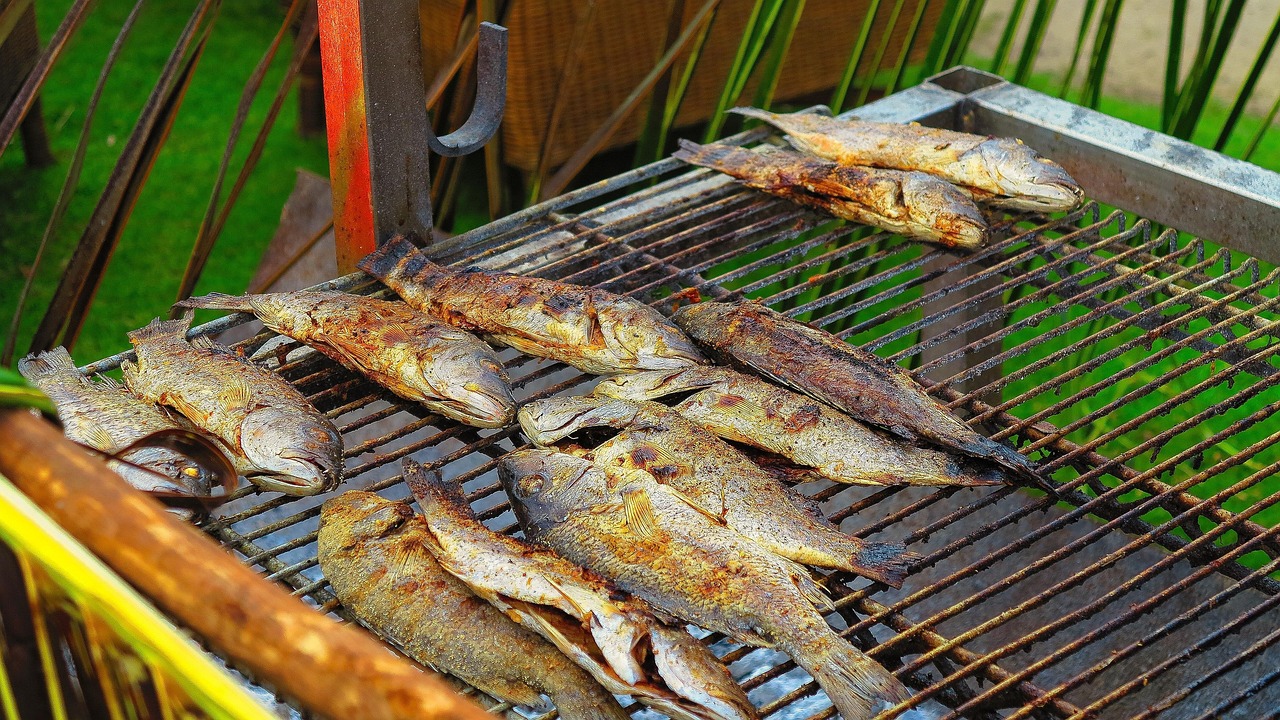 探究肿瘤患者的饮食禁忌，是否不宜食用狗肉？