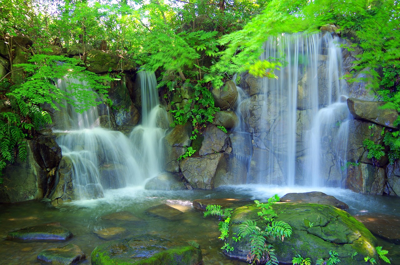 春节桃花的水养之道，选择适宜的水源是关键