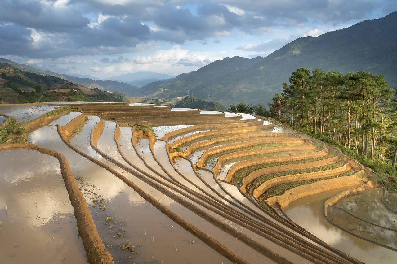 泰安天鹅湖生态旅游区，自然与文化的完美融合