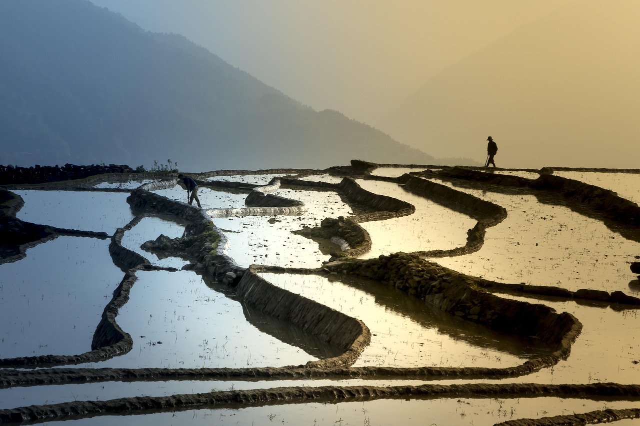 西藏旅游攻略，探索高原之美，收获心灵之旅 9.8万人点赞的必游之地