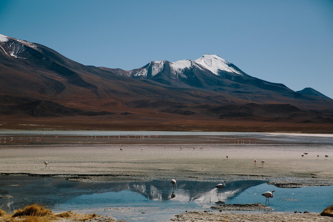 探索未知之美，第一次去桂林的2025旅游指南