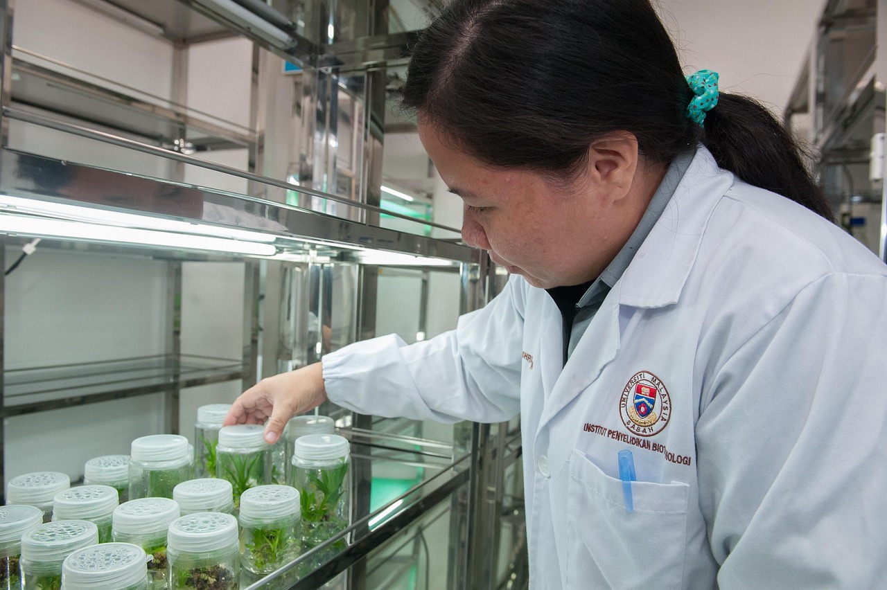 疫情下的烟育苗技术探索