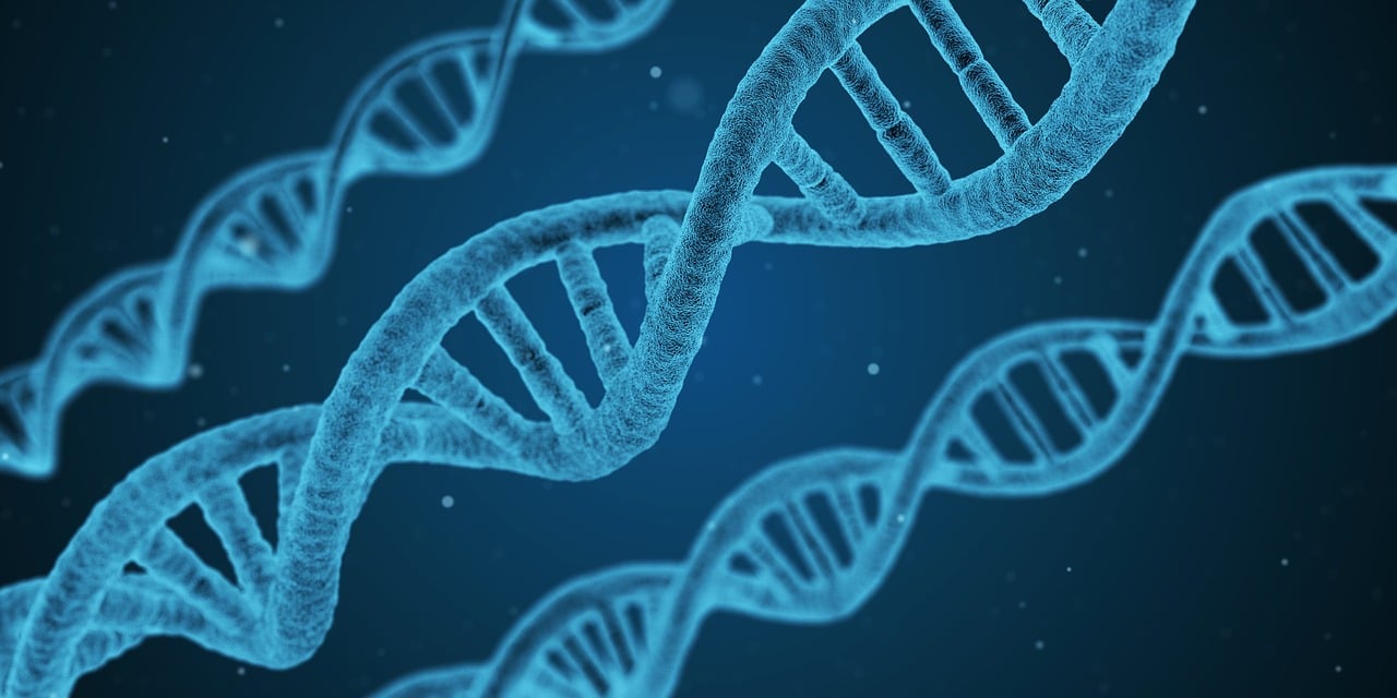 抵抗流感疫情，科学应对，共筑健康防线抵抗流感疫情