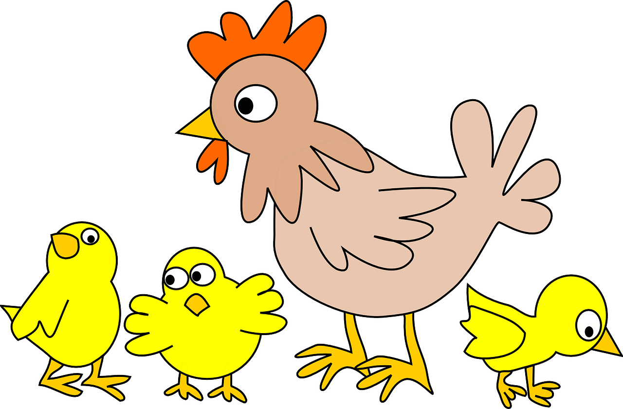 北京H7N9禽流感疫情，2017年的挑战与应对北京h7n9禽流感2017