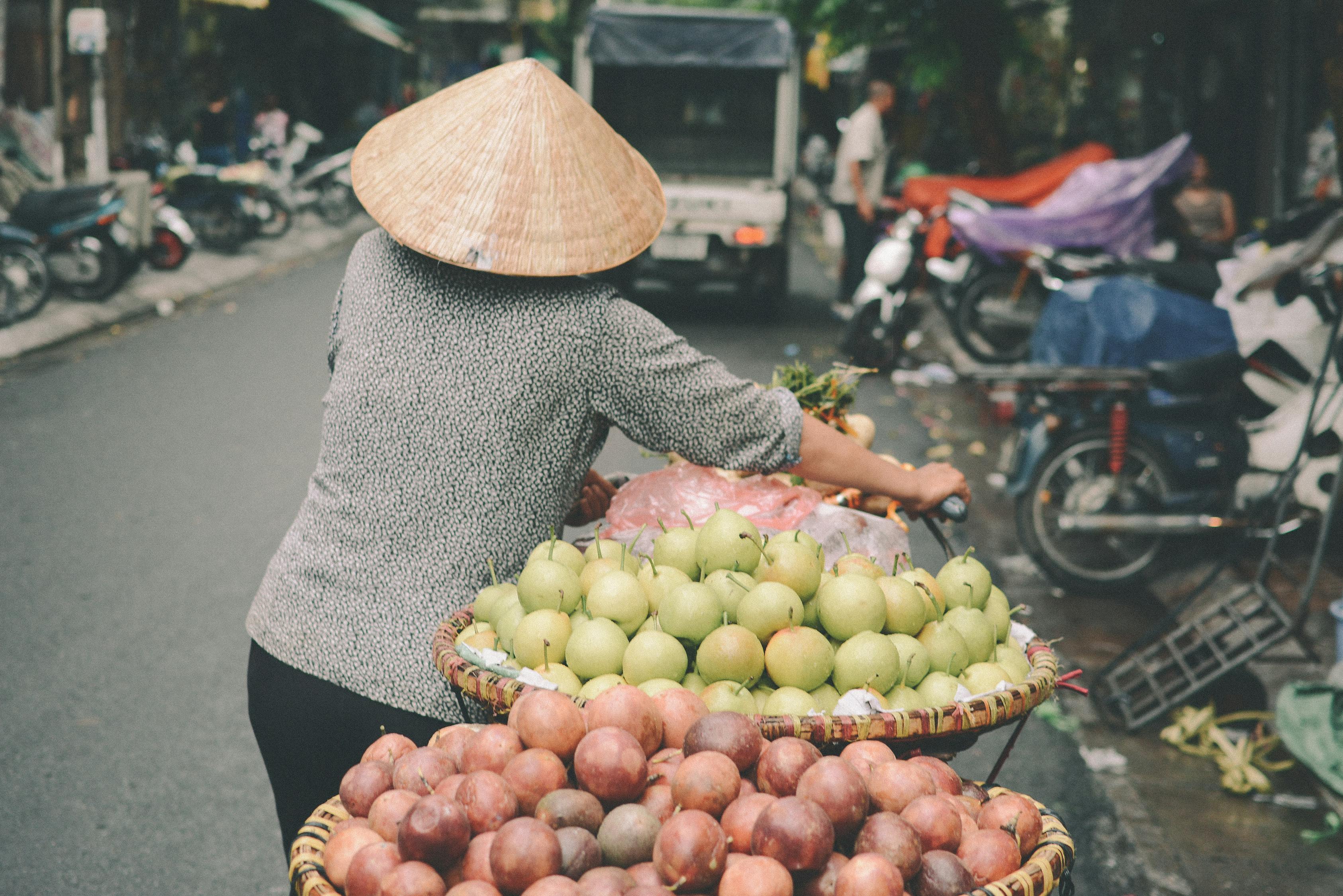 疫情下的菜园子—生活的力量与希望疫情 菜