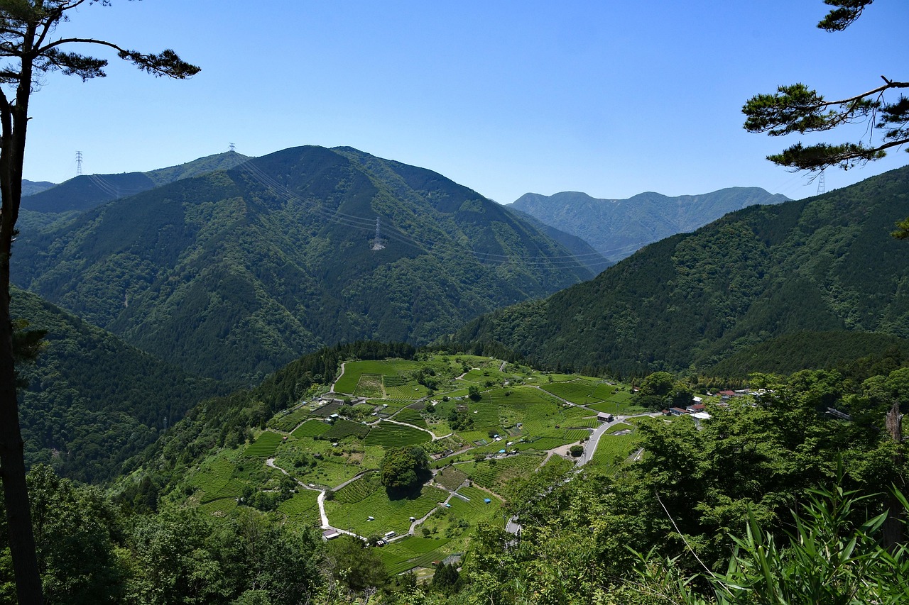 思茅区天气，气候特点与变化思茅区天气