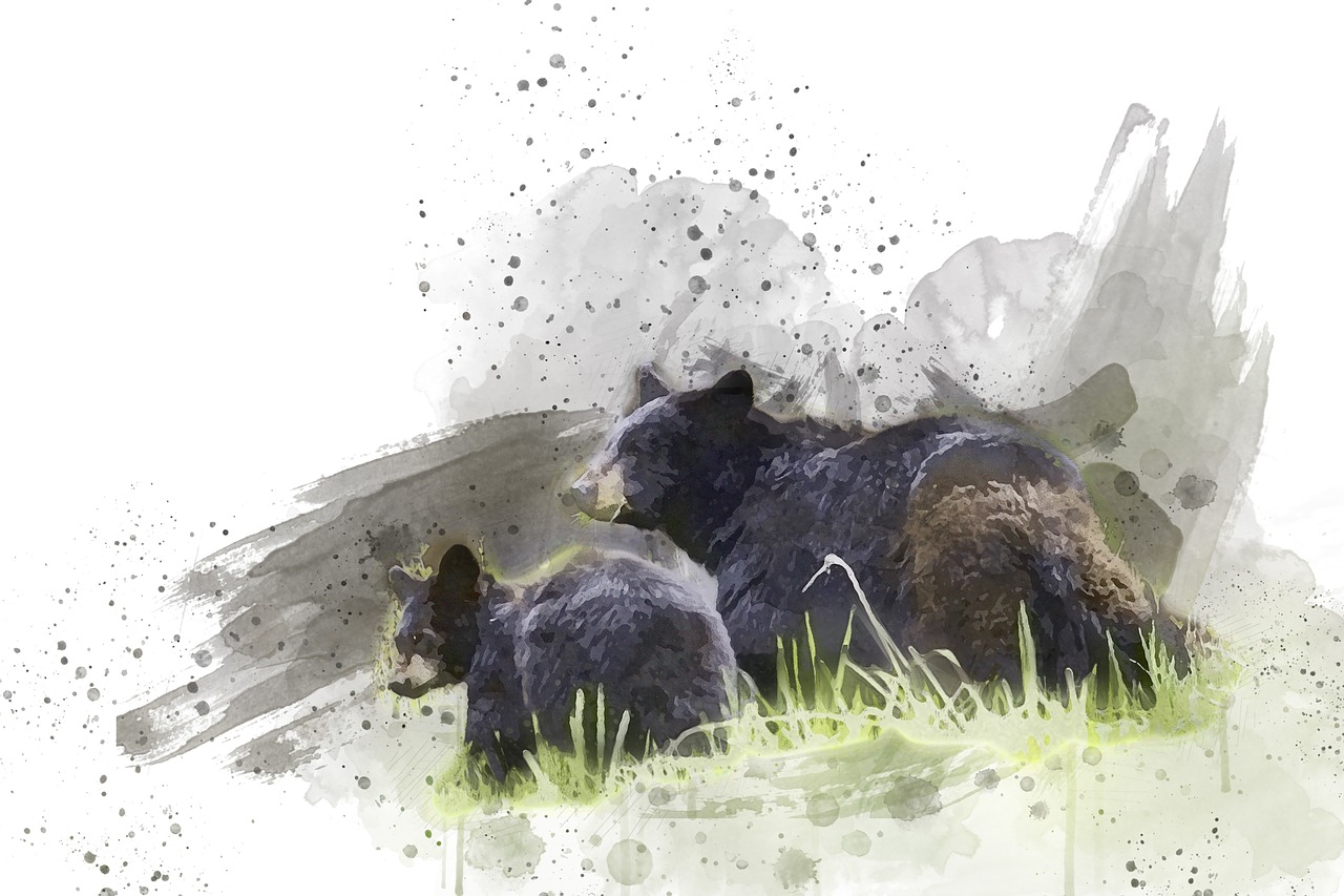 湖南常德再现黑熊家族,森林中的神秘访客引关注湖南 黑熊 湖南常德再现黑熊家族,森林中的神秘访客引关注湖南 黑熊