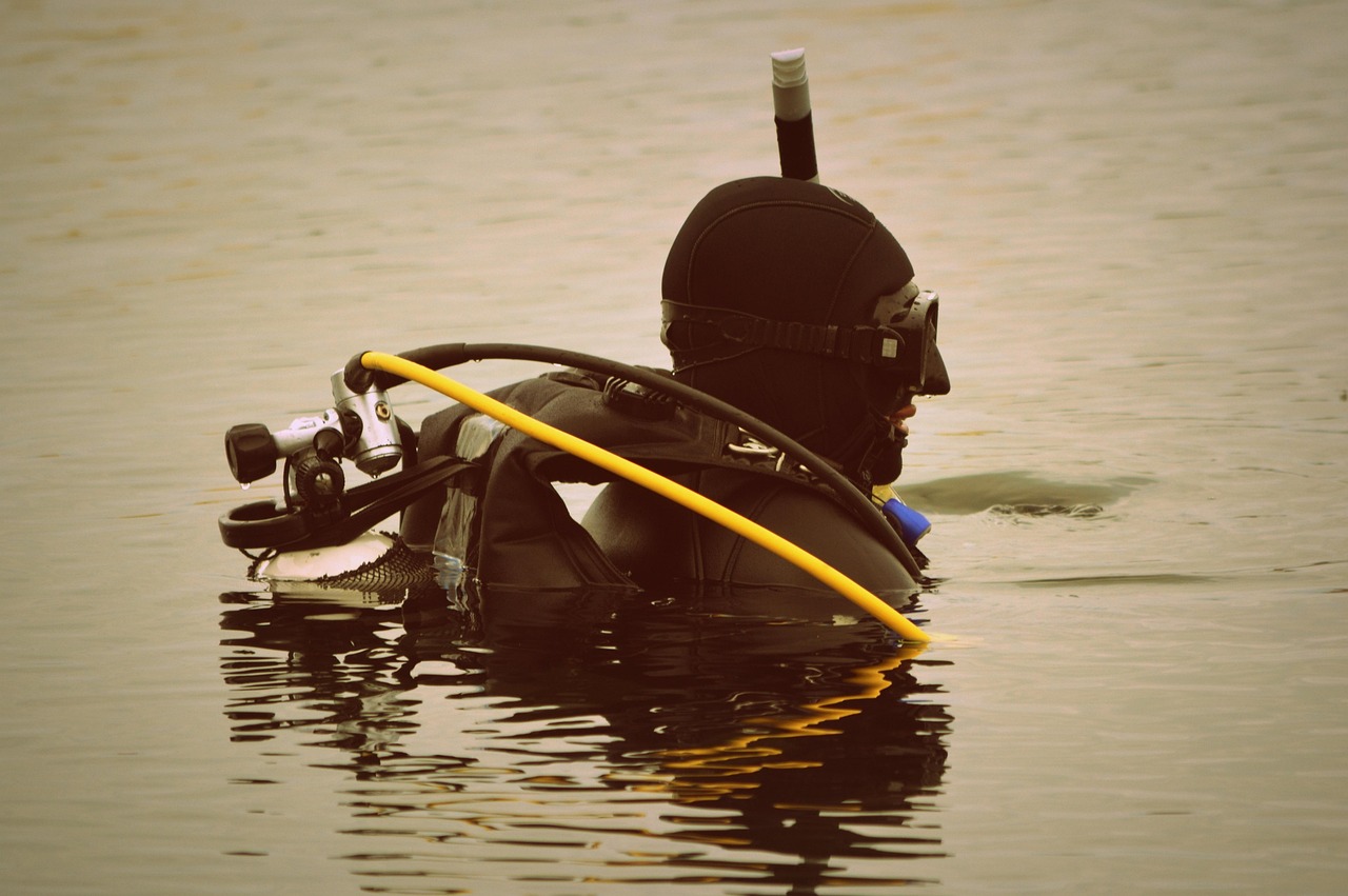 跳水台下的战场，央视体育直播如何打造中国跳水的视觉盛宴央视体育直播跳水节目单