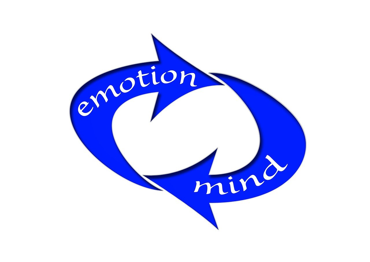 全场景覆盖与创新互动模式 北京体育台直播平台开启体育内容新纪元