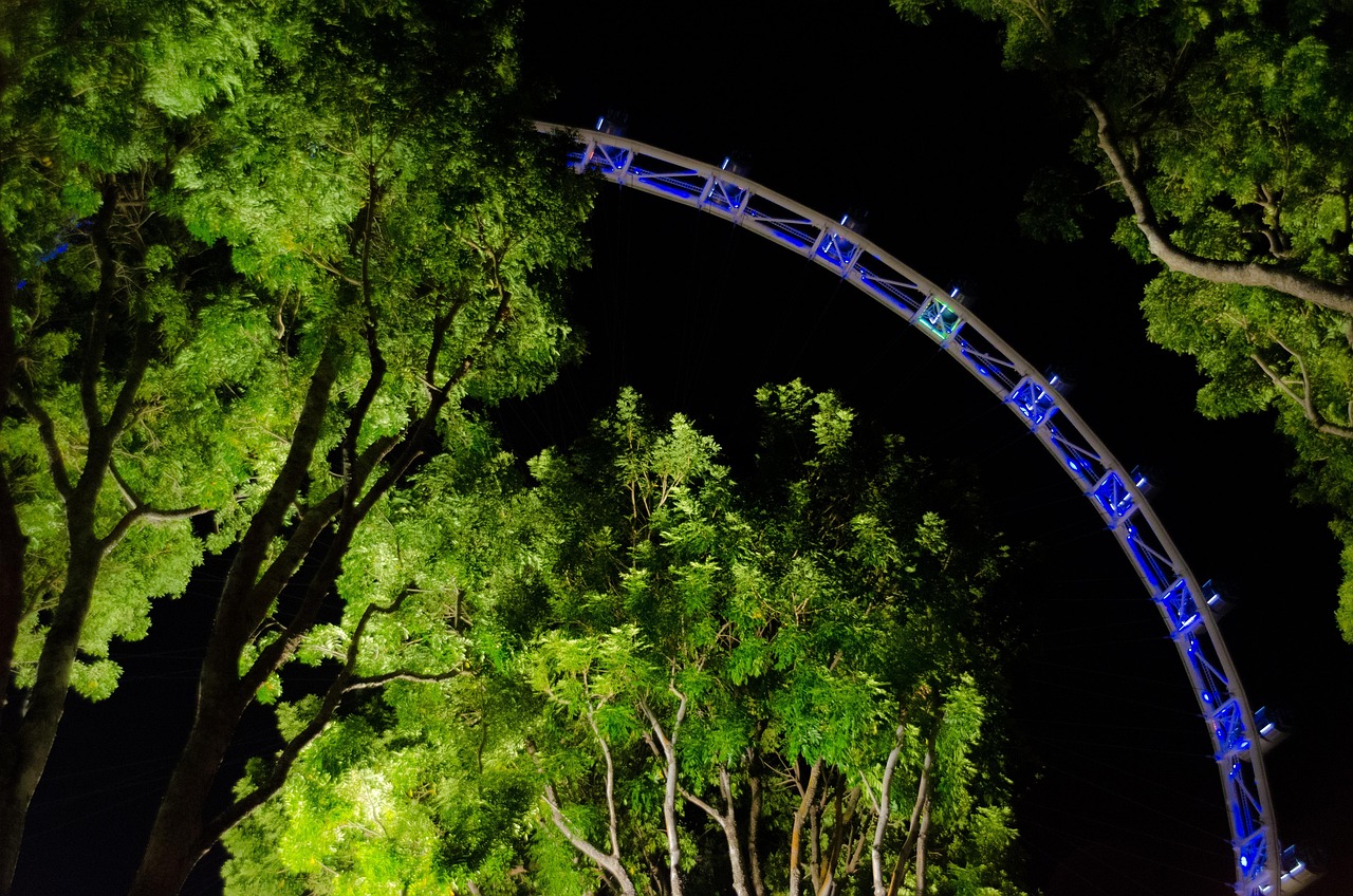 在狮城邂逅热血时刻，新加坡体育直播观赛全攻略