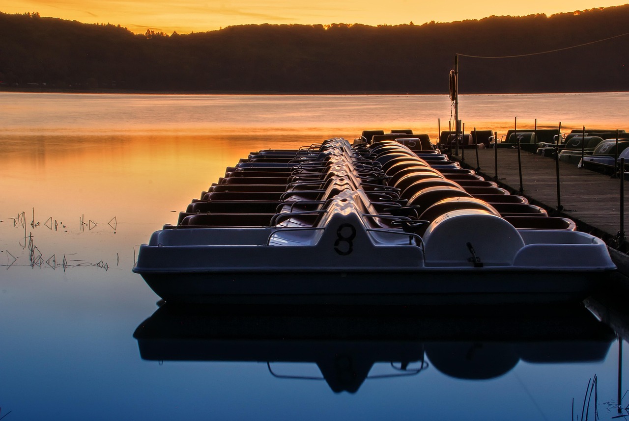 直播赋能教育体育，互动新场景下的融合创新