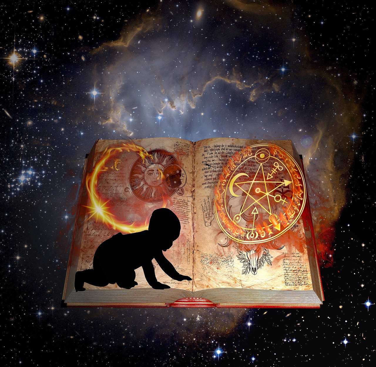 小毛的松弛哲学,当非洲狮学会佛系,人类观众集体破防 小毛的松弛哲学,当非洲狮学会佛系,人类观众集体破防