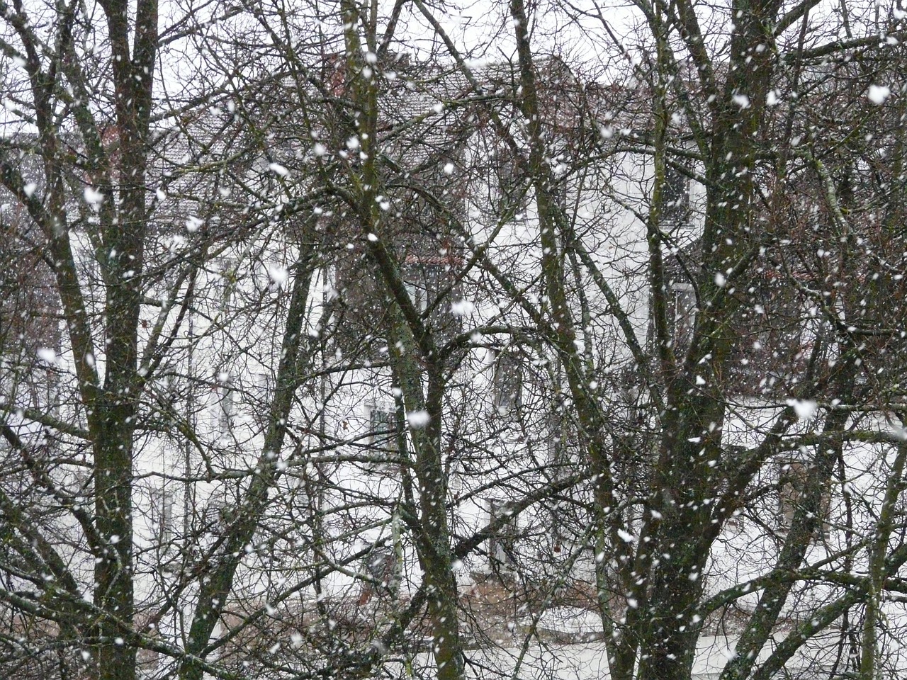 暴雪预警,什么尺度的降雪才算大暴雪? 暴雪预警,什么尺度的降雪才算大暴雪?