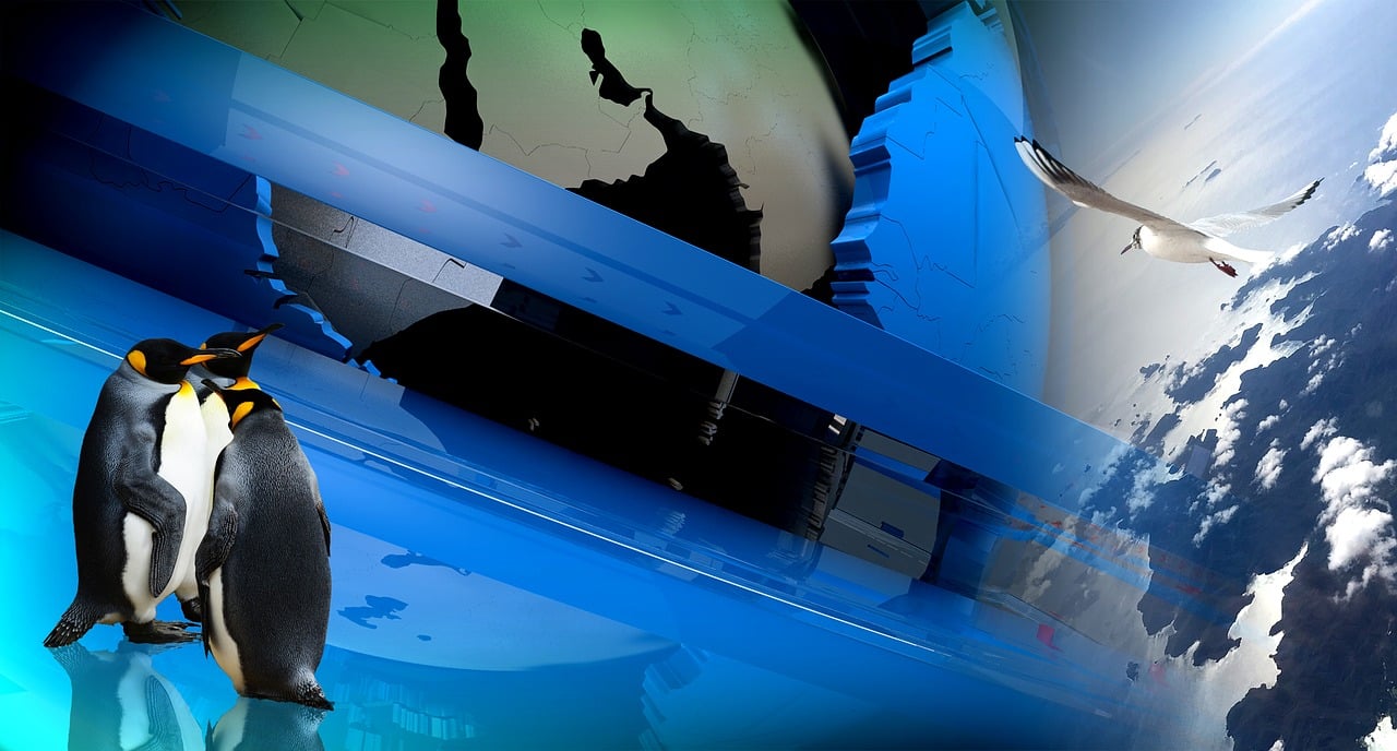 CGTN体育直播,开启全球体育盛宴的新维度 CGTN体育直播,开启全球体育盛宴的新维度