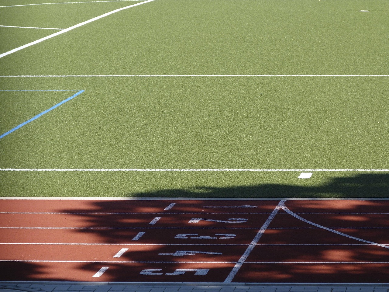 体育直播，一场没有终点的狂欢盛宴