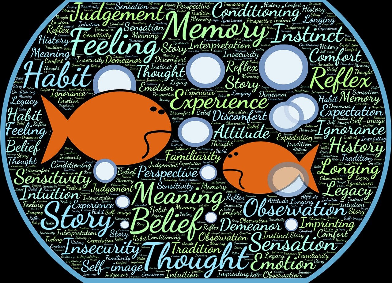 高校外卖配送权争夺战,校方授权 vs 学生权益如何平衡? 高校外卖配送权争夺战,校方授权 vs 学生权益如何平衡?