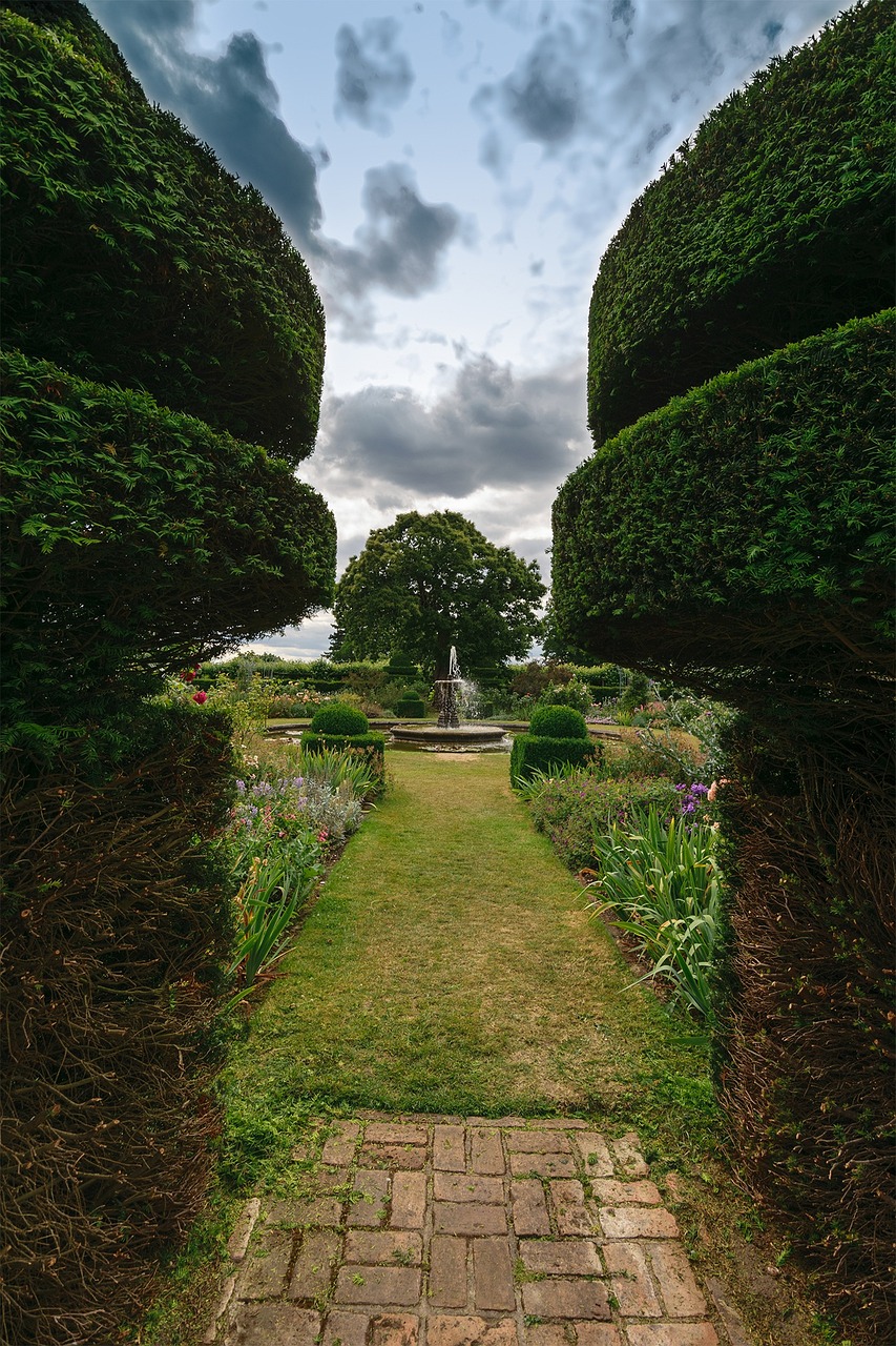 自然与科技的交响曲,生态公园体育直播如何重塑户外体验 自然与科技的交响曲,生态公园体育直播如何重塑户外体验