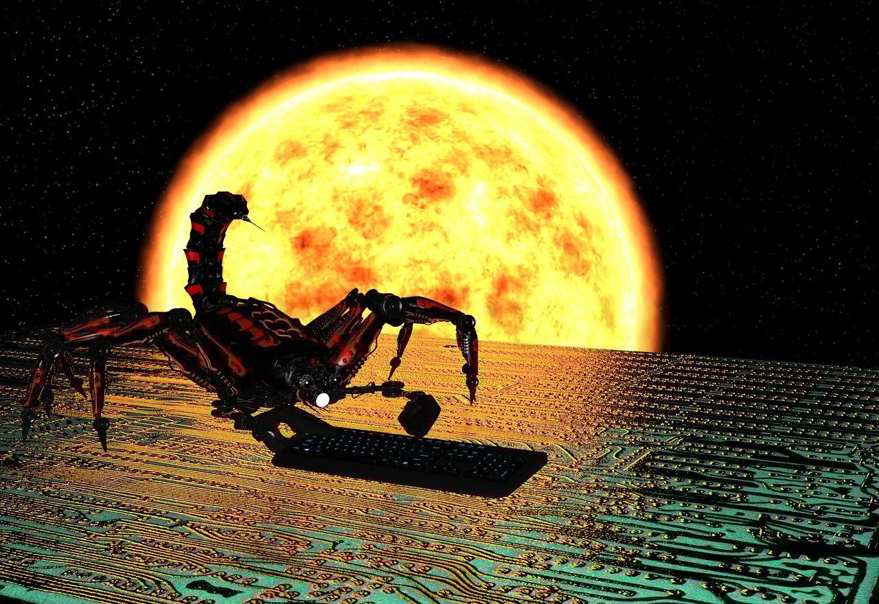 激情与科技的碰撞,韩国体育直播的崛起与未来 激情与科技的碰撞,韩国体育直播的崛起与未来