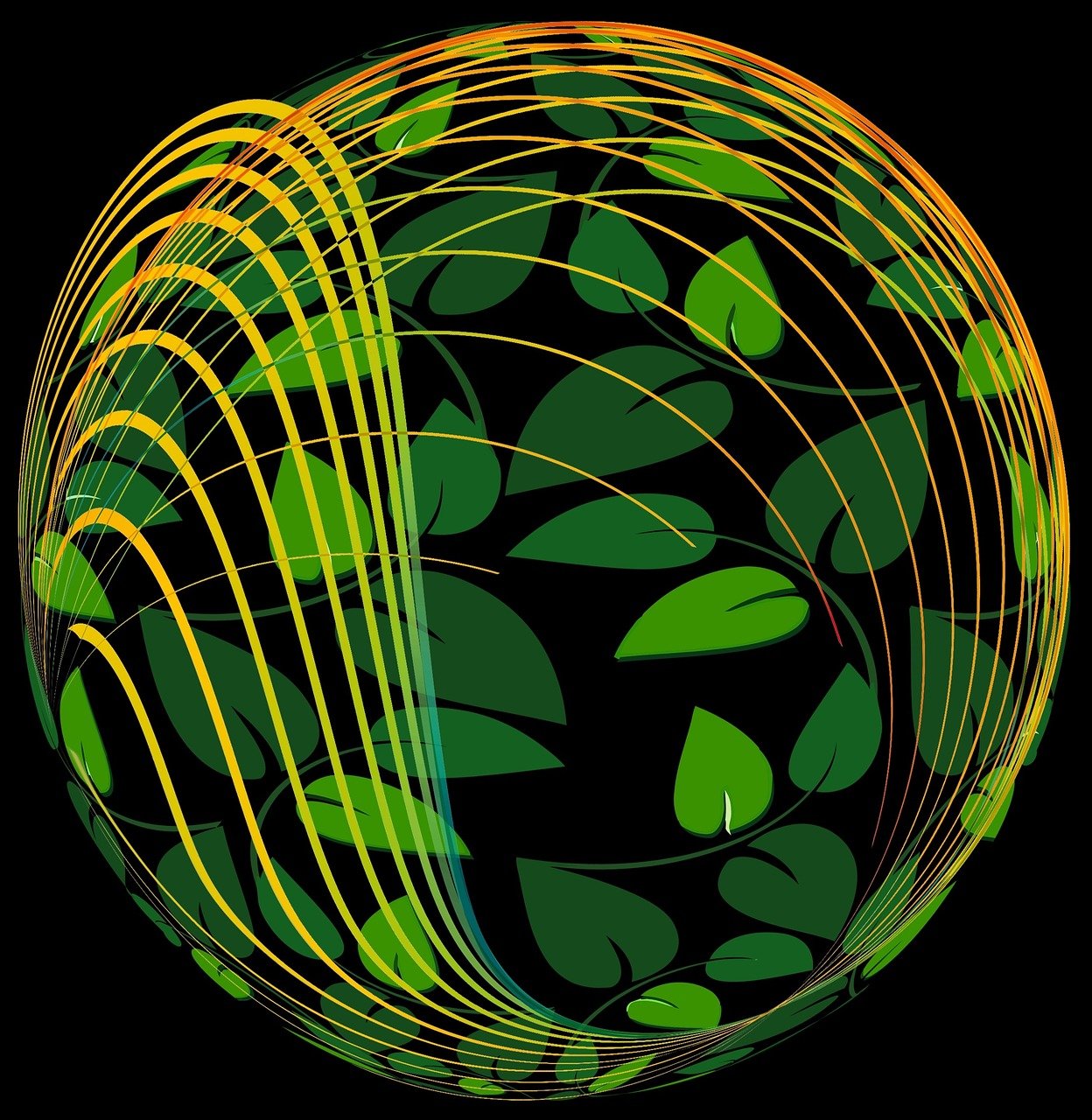 波播球体育直播，当科技重塑竞技场，观众如何在线见证每一颗球的轨迹