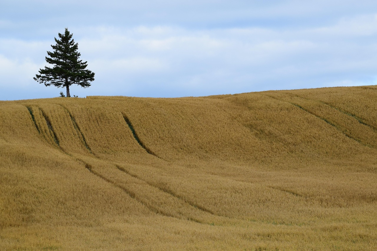 山水缙云,直播赋能—浙江缙云体育产业发展的创新实践 山水缙云,直播赋能—浙江缙云体育产业发展的创新实践