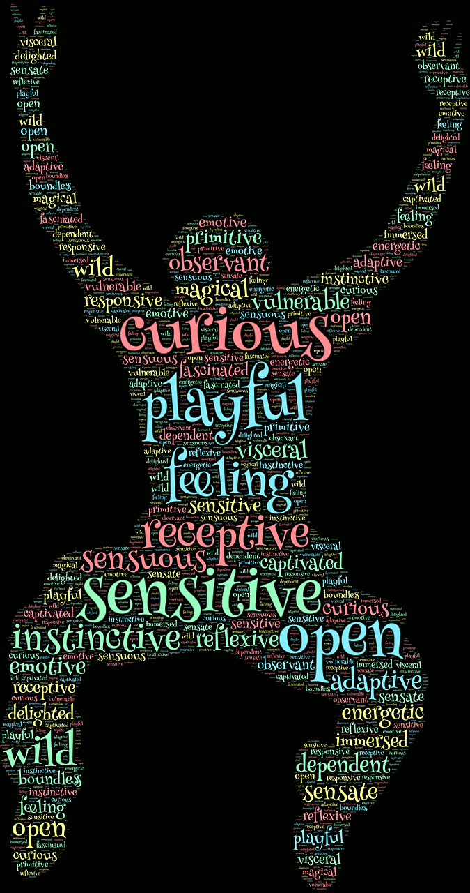 跨越海峡的体育激情，两岸直播如何点燃观众热情