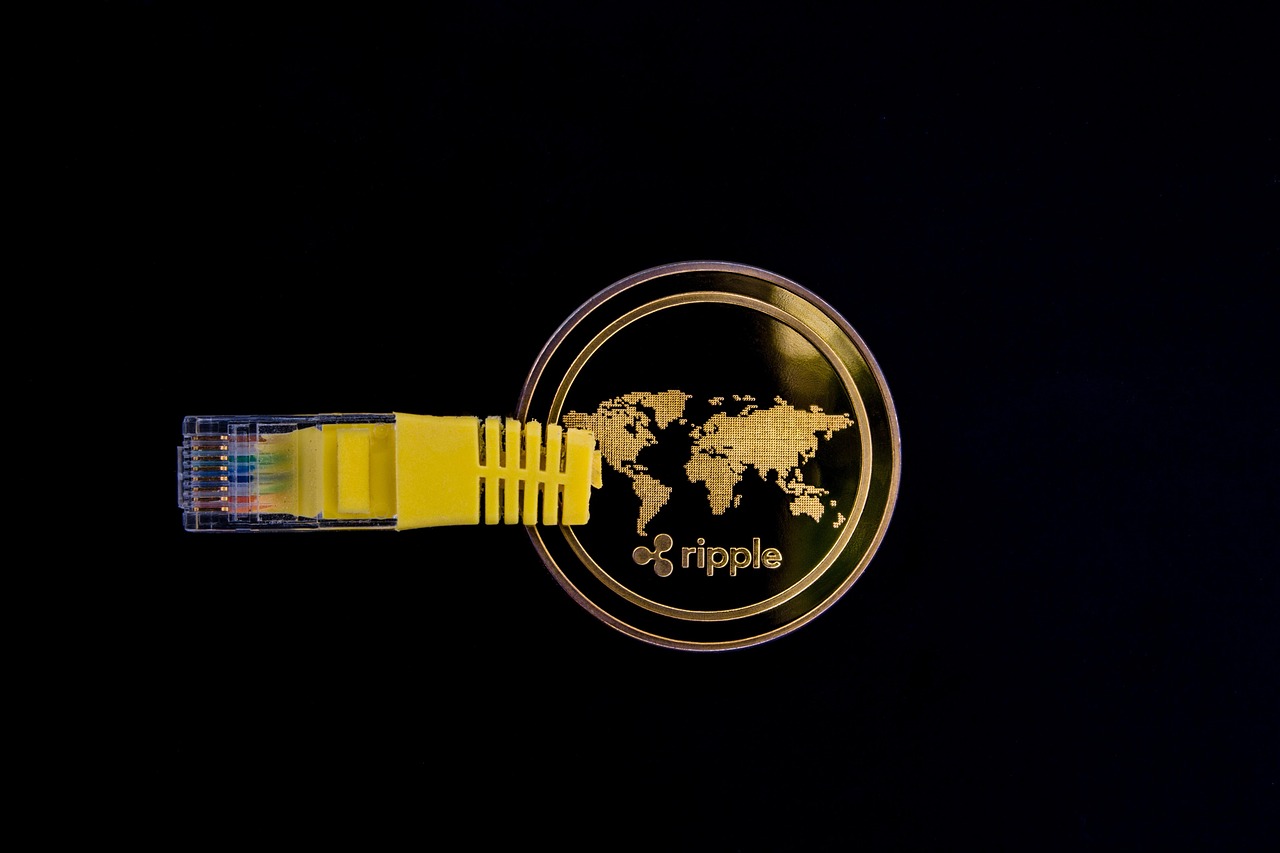 数字浪潮中的领航者，体育直播如何成为体育产业的灯塔