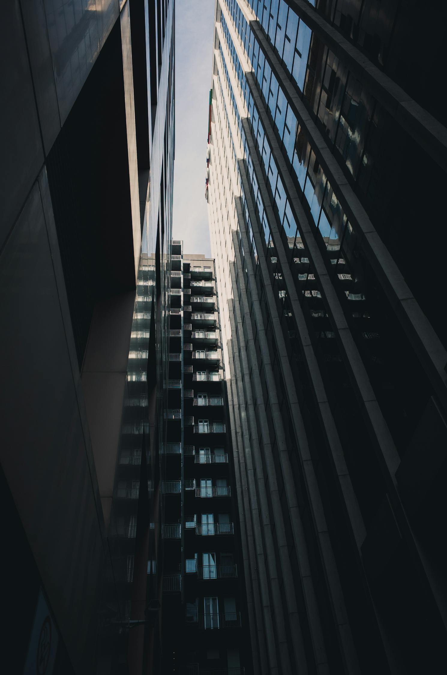 直播镜头里的上海体育，数字浪潮中的城市活力