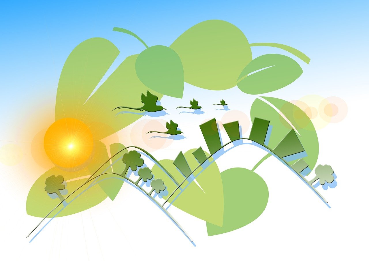 绿色直播体育，当赛事激情邂逅生态责任