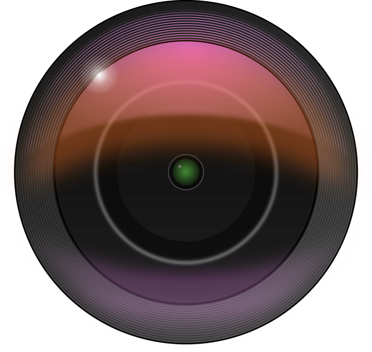 镜头里的生命之光,体育直播如何让残奥运照进现实 镜头里的生命之光,体育直播如何让残奥运照进现实