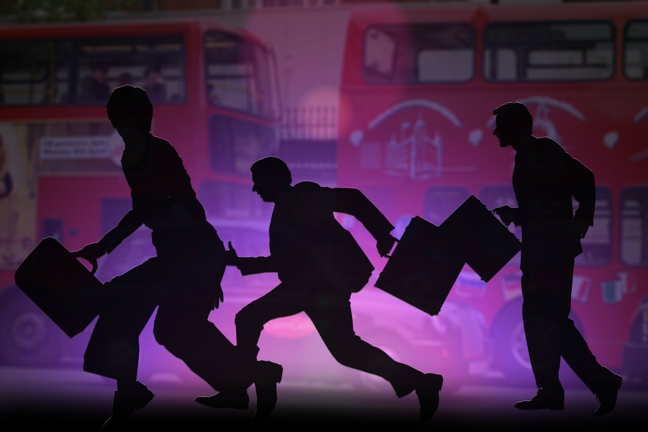 UFC直播观看全攻略，五大平台推荐及赛事亮点解析