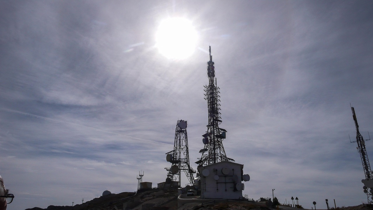 云端观赛新体验 上海体育直播开启云观赛时代