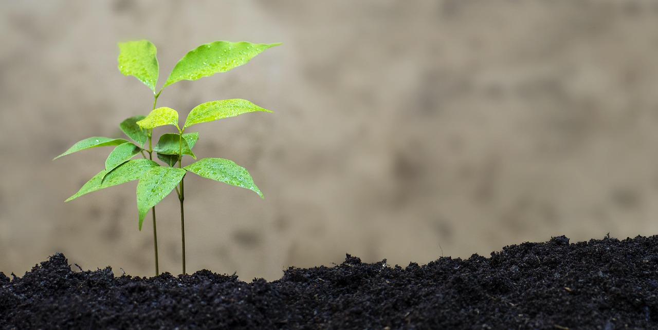 360度生态视角,绿色体育直播如何重塑体育未来? 360度生态视角,绿色体育直播如何重塑体育未来?