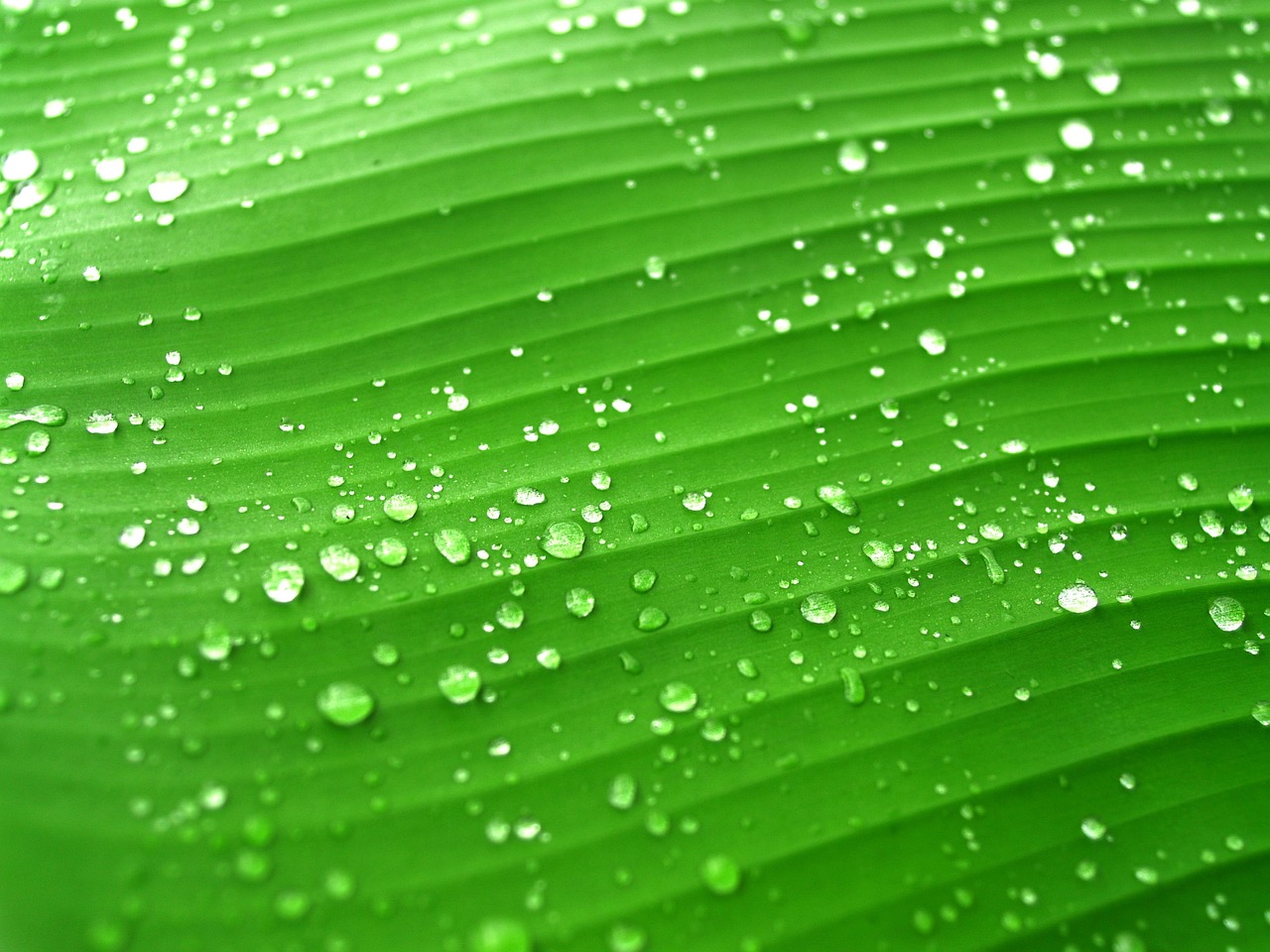 绿色赛场，360直播吧如何重塑体育与自然的和谐共生