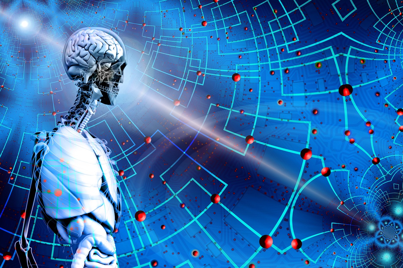 数智赋能体育未来，辽宁体育大数据直播开启赛事新纪元