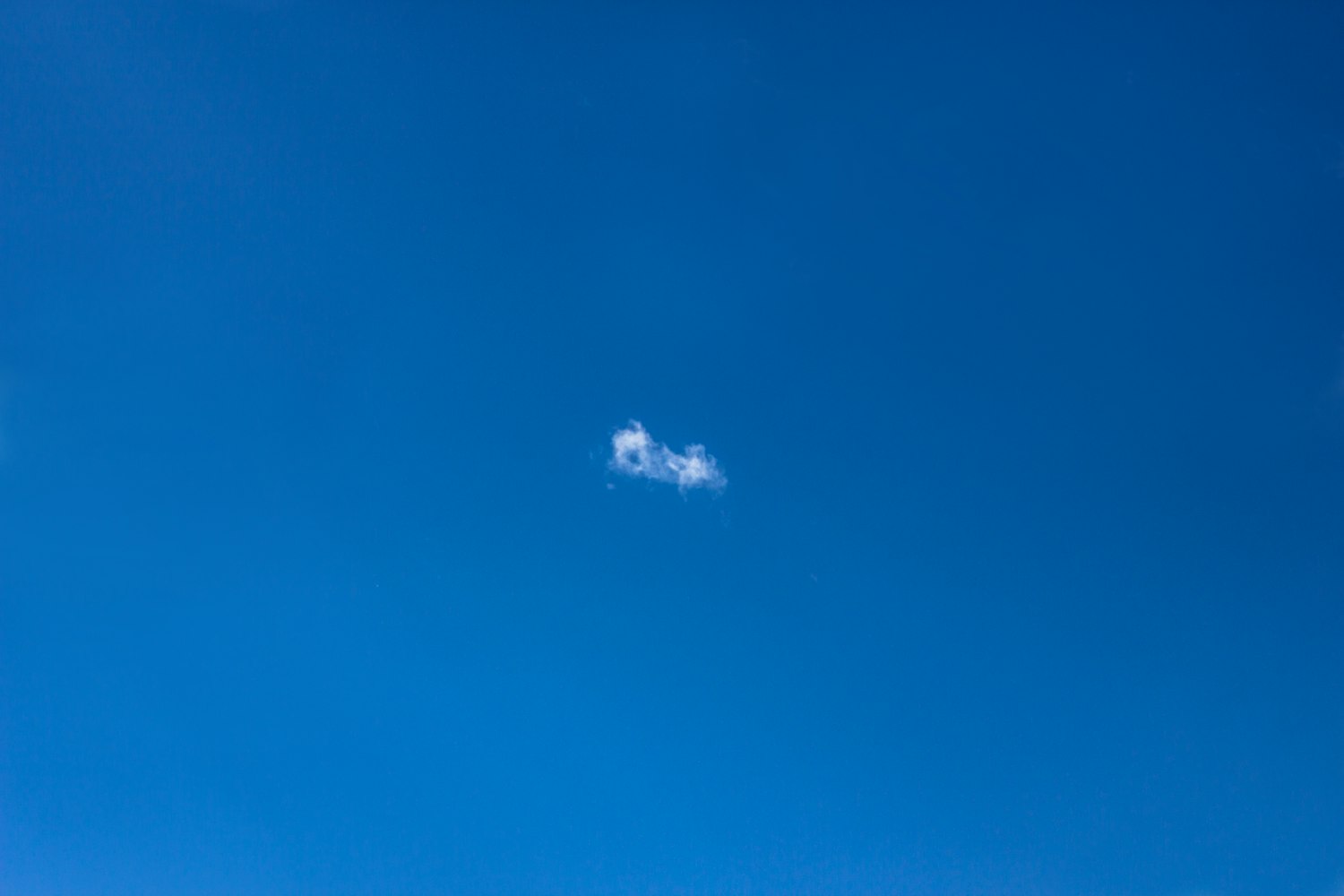 雨燕体育赛事直播，以科技为翼，翱翔于体育与科技的交汇点