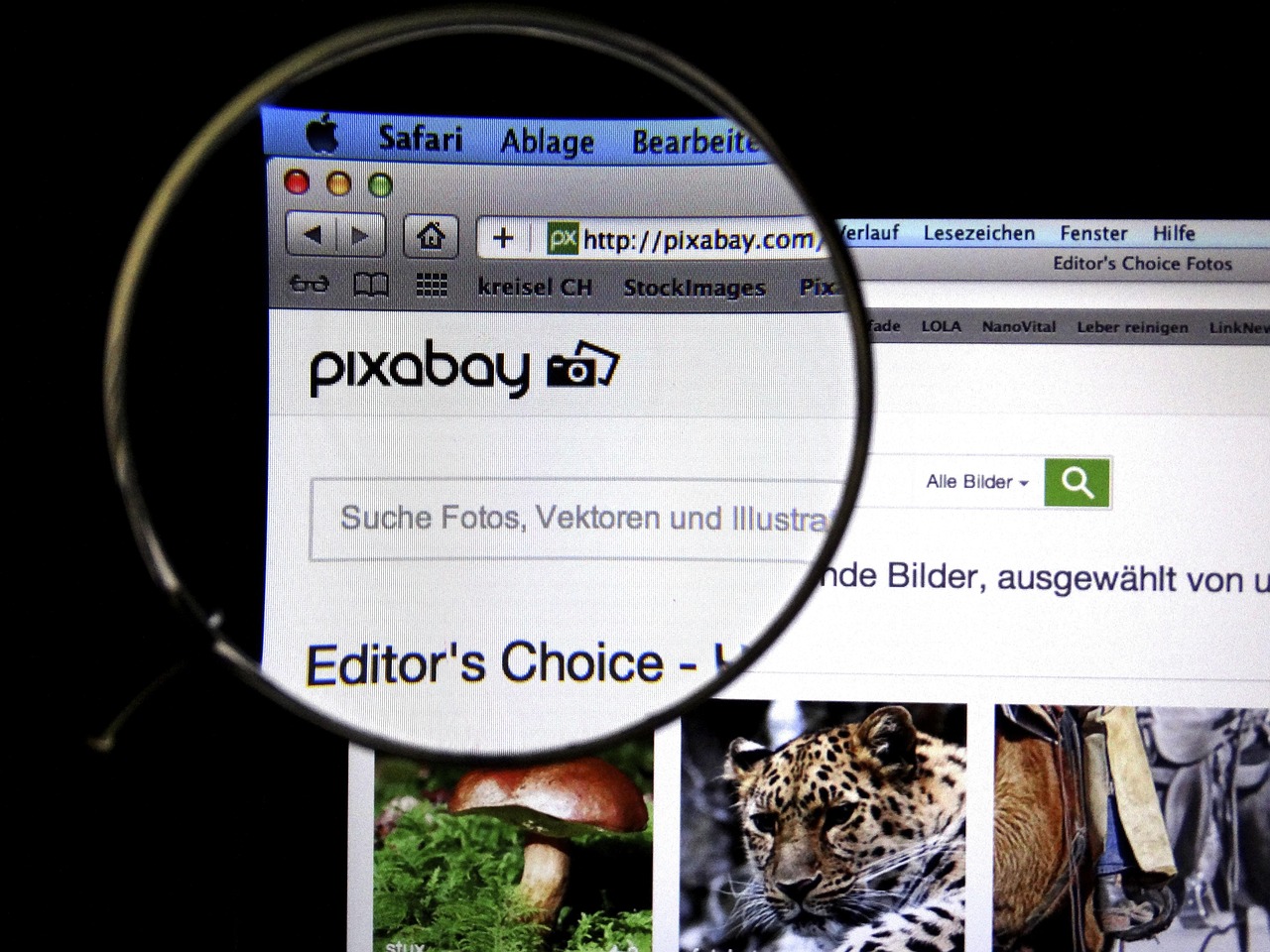 高清免费！如何合法获取中央体育直播视频？全网最新攻略