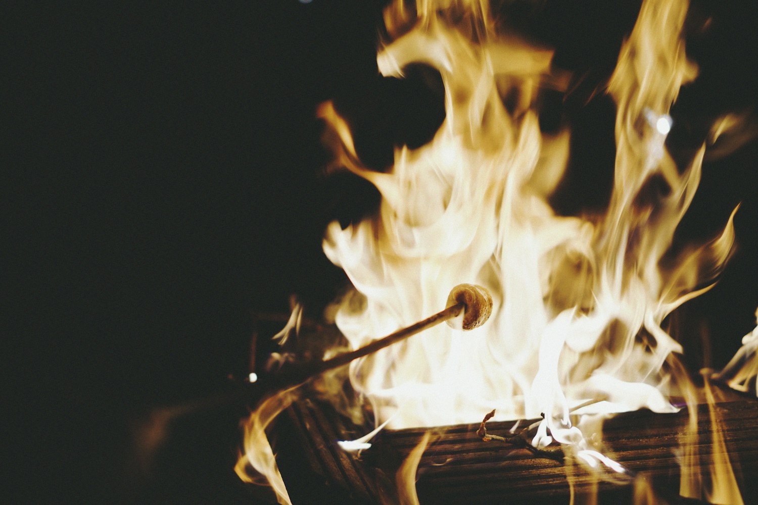 直播江湖，广东体育频道如何点燃篮球赛事的火