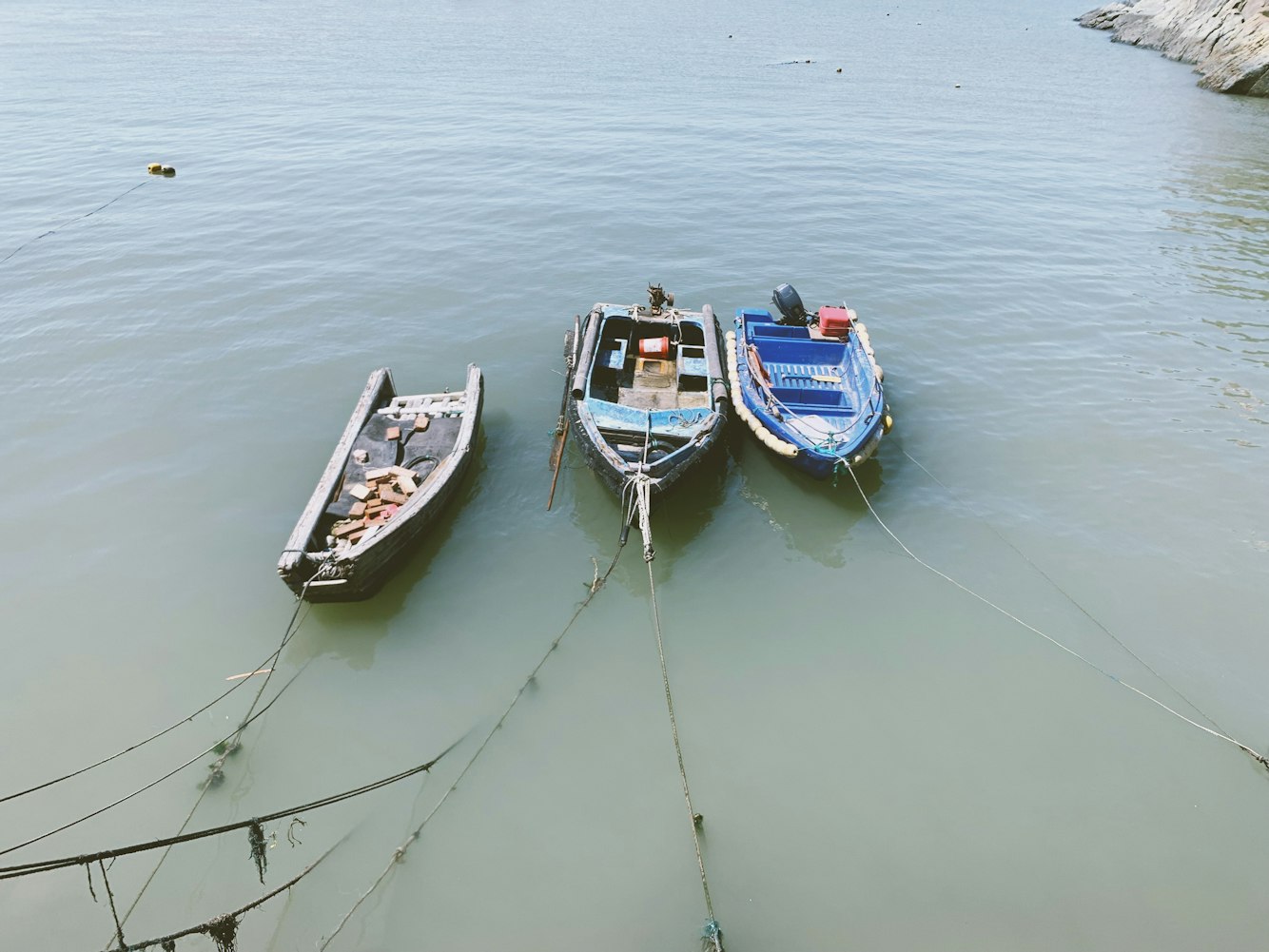 以专业为帆，以激情为桨—体育直播人的奋斗航程