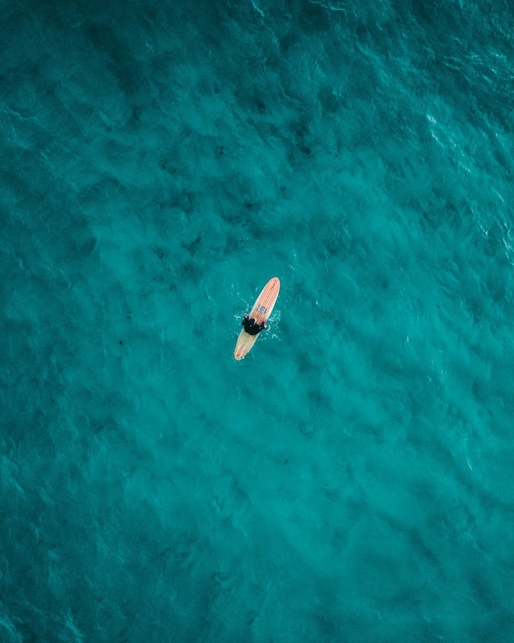 以专业为帆，以激情为桨—体育直播人的奋斗航程