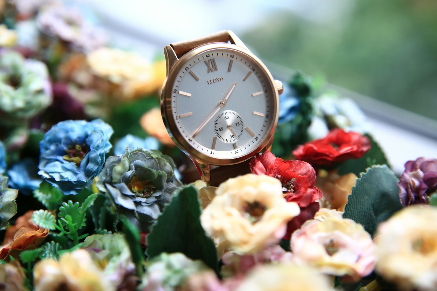 以镜头为笔，书写体育与感恩的交响乐章